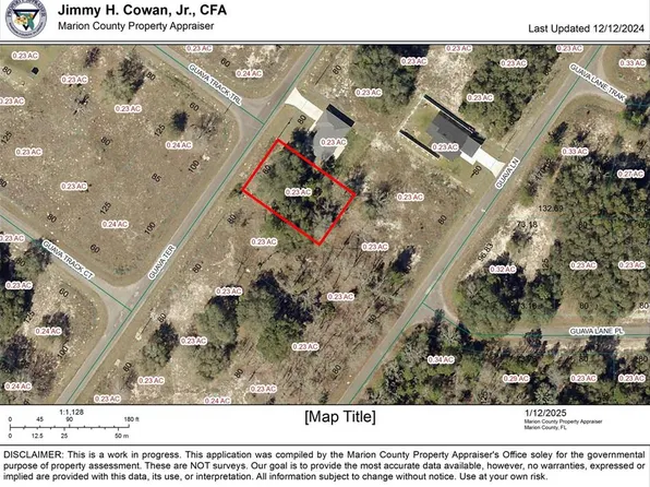 Guava Ter Lot 7, Ocklawaha, FL 32179