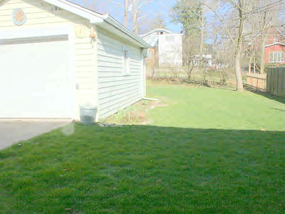 Rear Yard