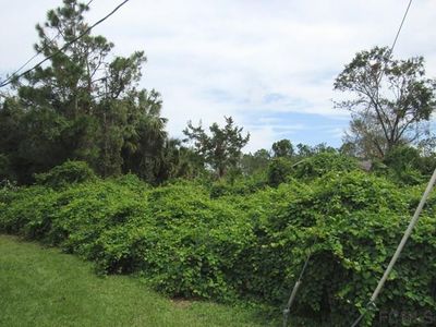 35 Royal Leaf Ln, Palm Coast, FL, 32164