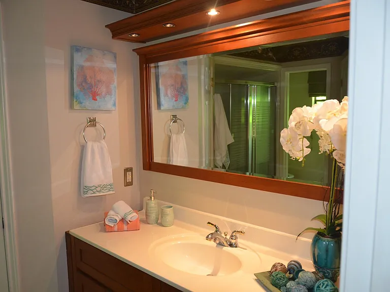 Downstairs bathroom