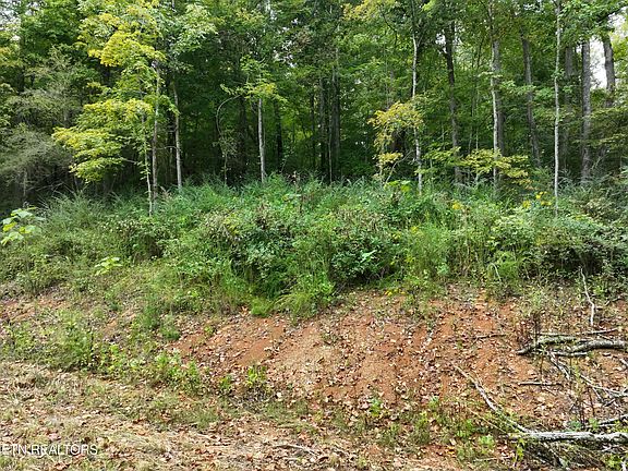 2nd image of 1101 W Brushy Valley Dr