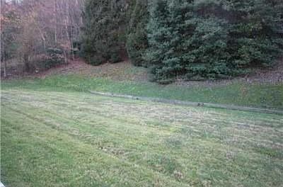 3rd image of 4717 Chesterfield Ave