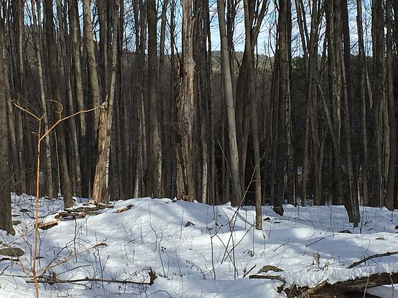 4th image of Mountain Rd