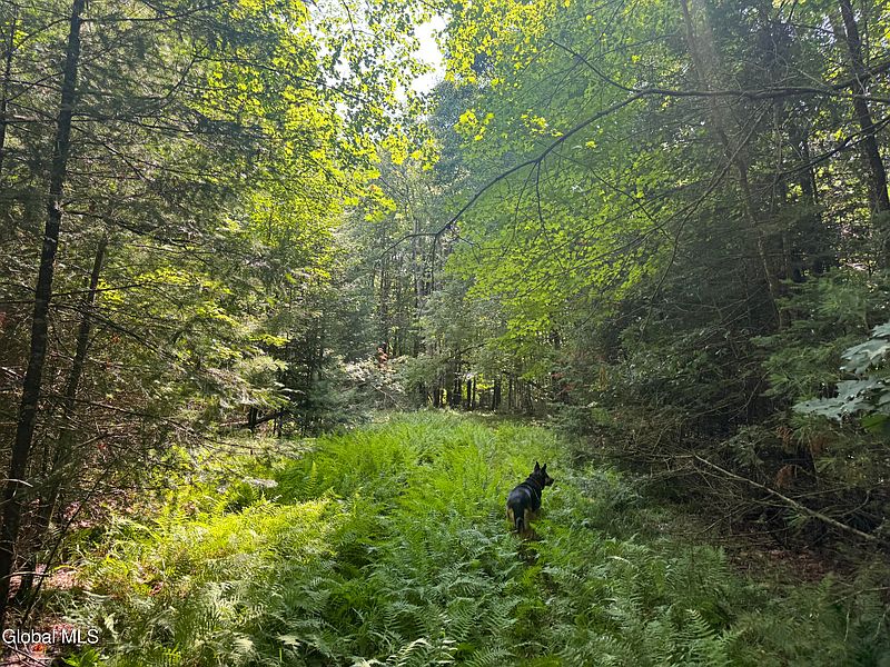 5th image of 1338 River Road