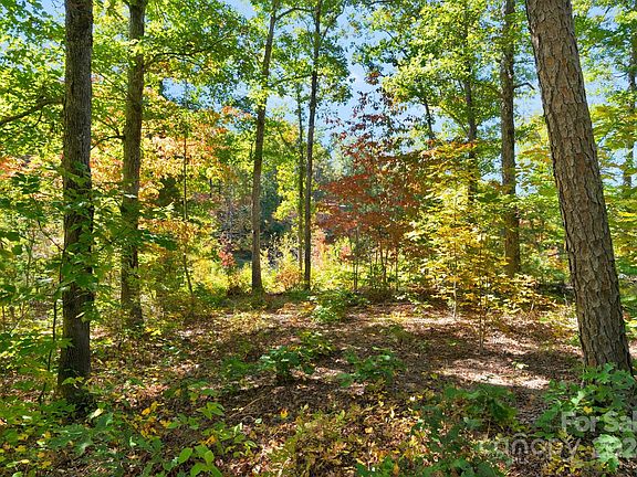5th image of LOT 37 Walkaloosa Way