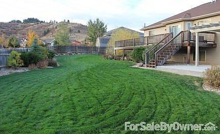 Lush back yard perfect for playing!