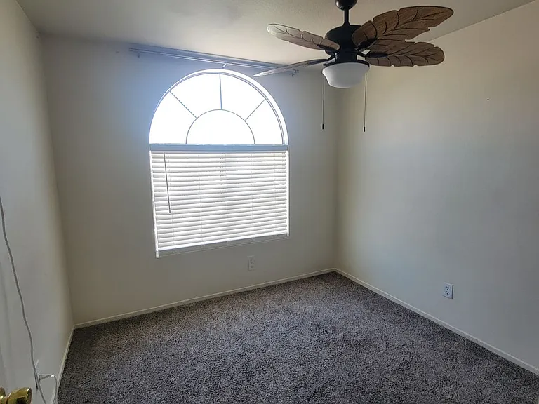 7321 Summer Sun Dr — Photo 11