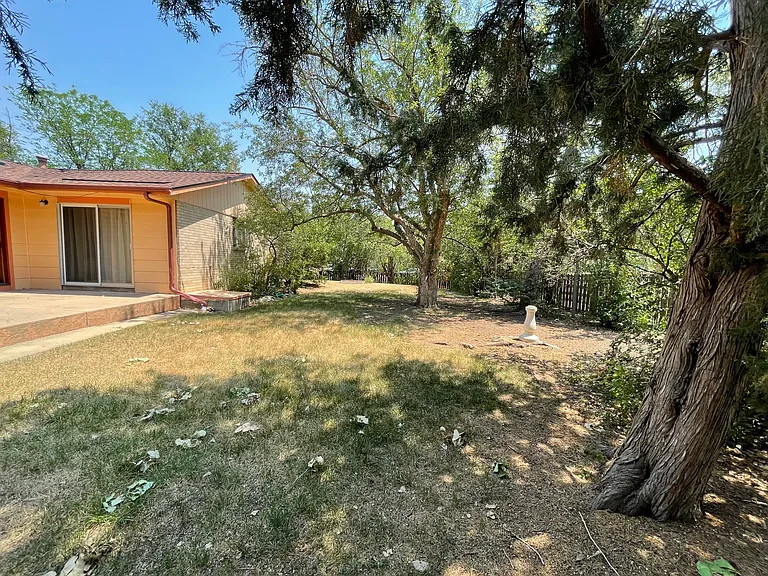 Spacious backyard.