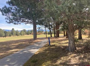 120 Puma Ln, Ridgway, CO 81432