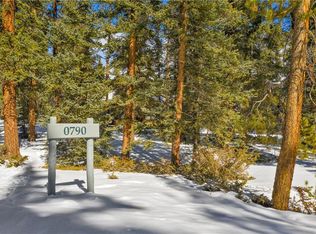 790 Penstemon Rd, Dillon, CO 80435