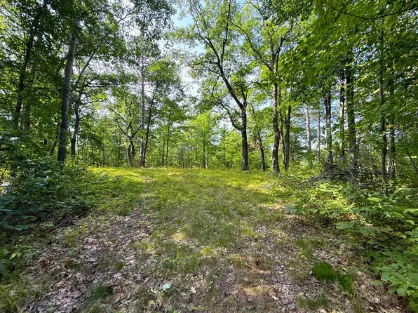 W9 Webb Lake Dr, Trego, WI 54888