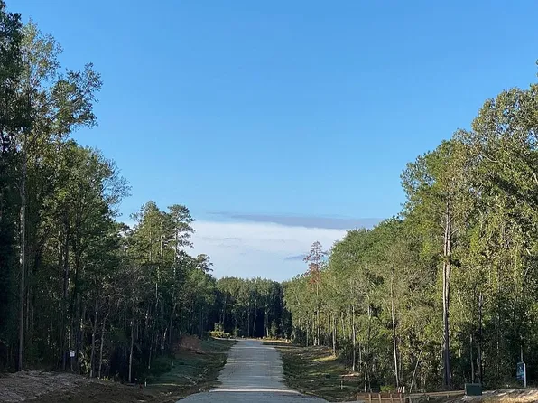 236 Hollow Hill Dr, New Waverly, TX 77358