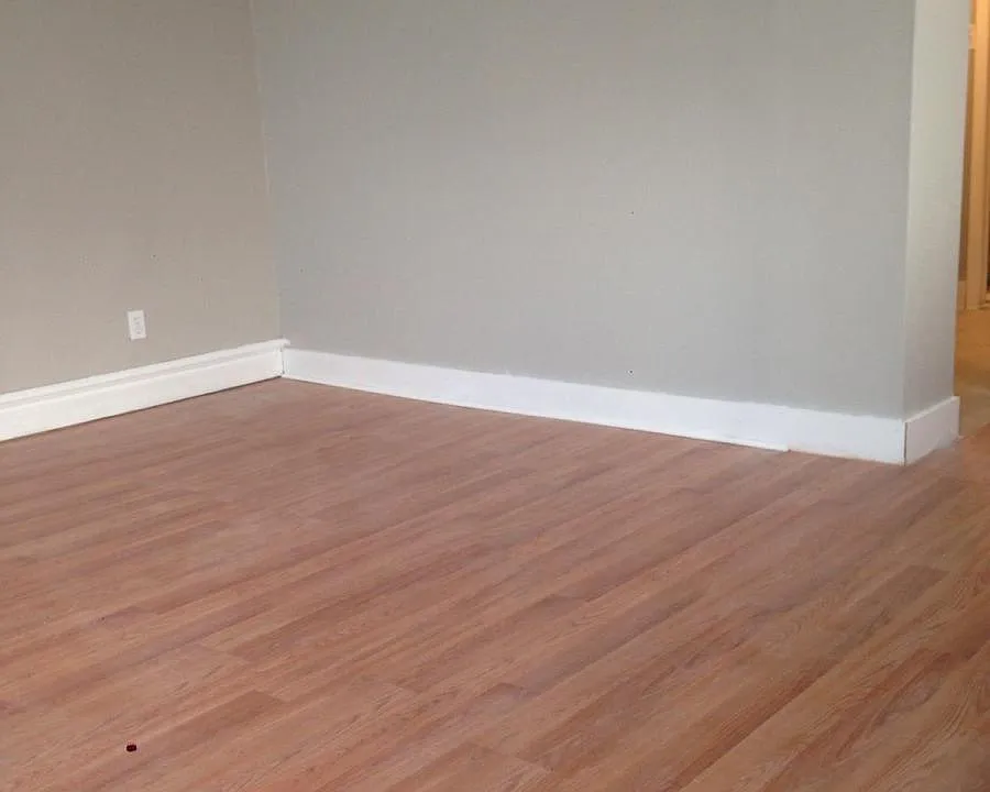 Living Room Area