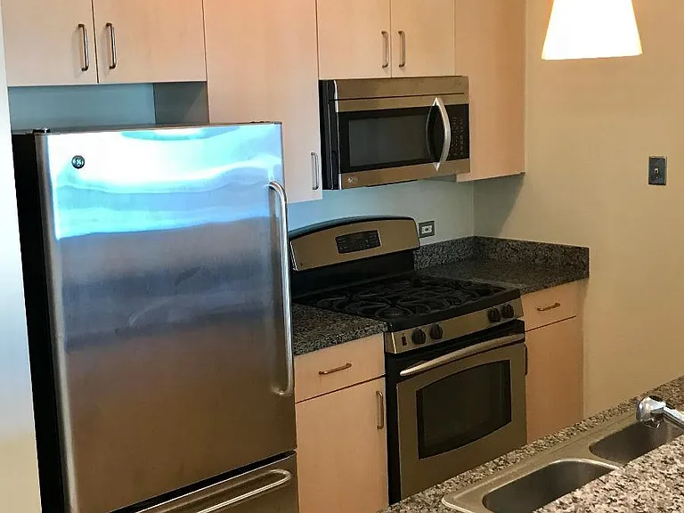 600 N Kingsbury St #1512 — Photo 5