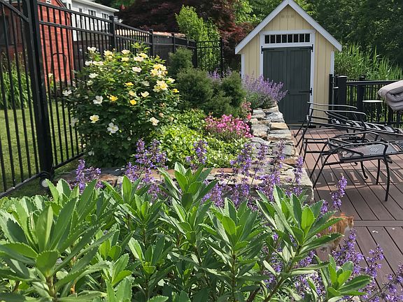 Pool Garden and Shed