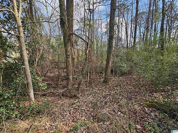 4th image of 0 Moss Hill Ln #42