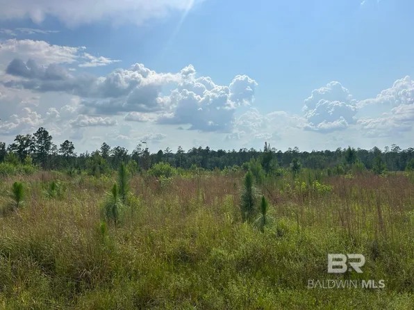 0 Bradley Rd, Brewton, AL 36426