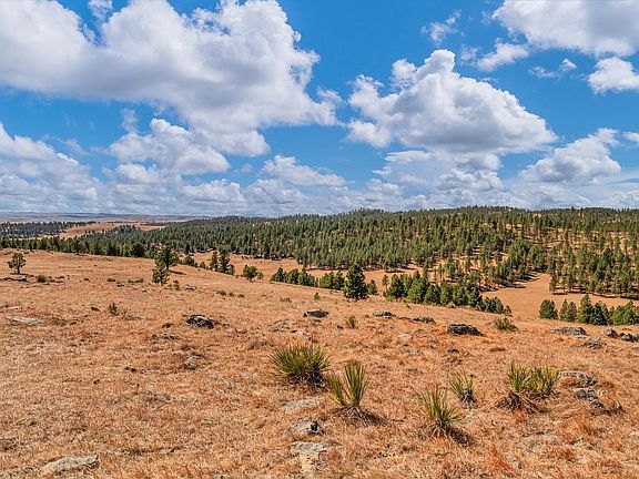 4th image of Missile Rd