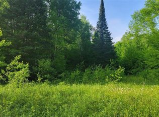 40A On Doland Rd, Winter, WI 54896
