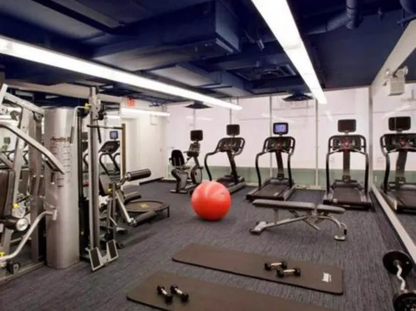 306 Gold Street image 19 of 22