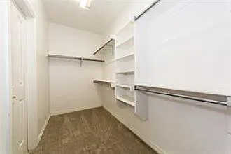 11967 Shoal Creek Dr — Photo 15