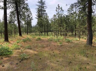 7545 Elaine Street Way, Ford, WA 99013