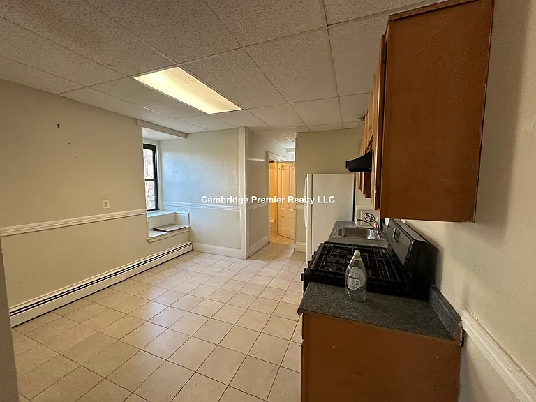 183 Harvard St #1 — Photo 18