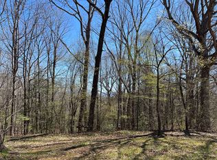 532 Pleasant Gap Rd, Ellijay, GA 30540