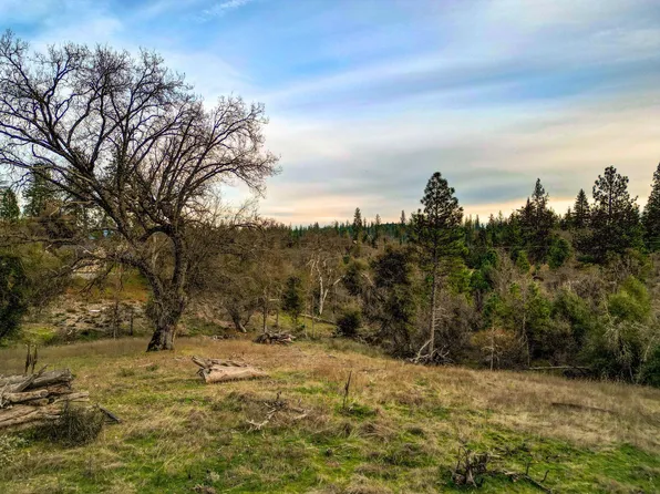 6422 Dogtown Rd, Coulterville, CA 95311