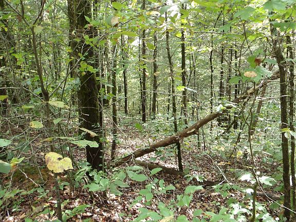 5th image of 0 Rock Springs Rd Lot 73