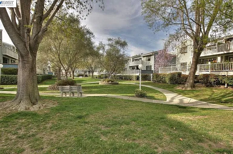 36992 Meadowbrook Cmn #102 — Photo 19