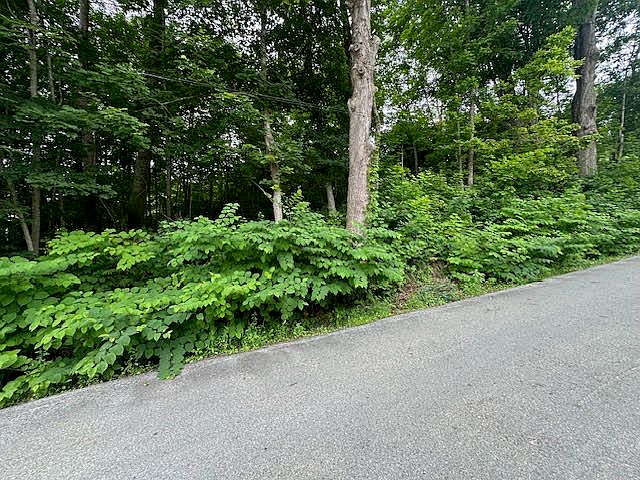 2nd image of 4 Green Street