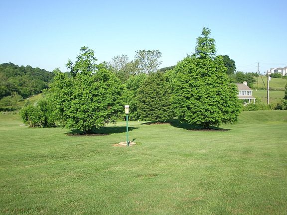 Looking West from side yard
