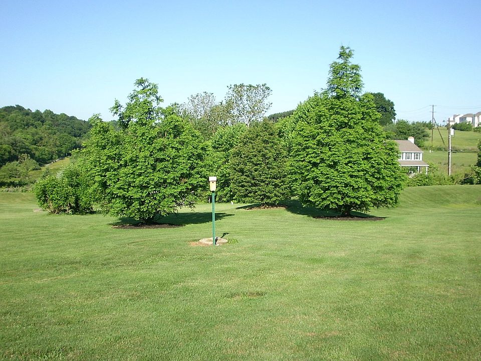 Looking West from side yard