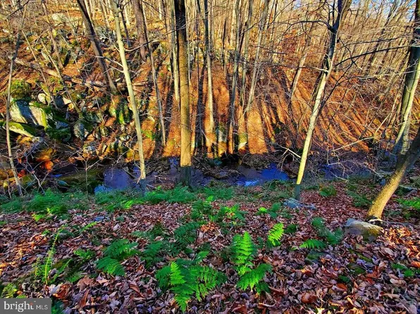 MT ZION CROSS CUT ROAD, SWANTON, MD 21561