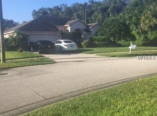 17424 Isbell Ln, Odessa, FL 33556