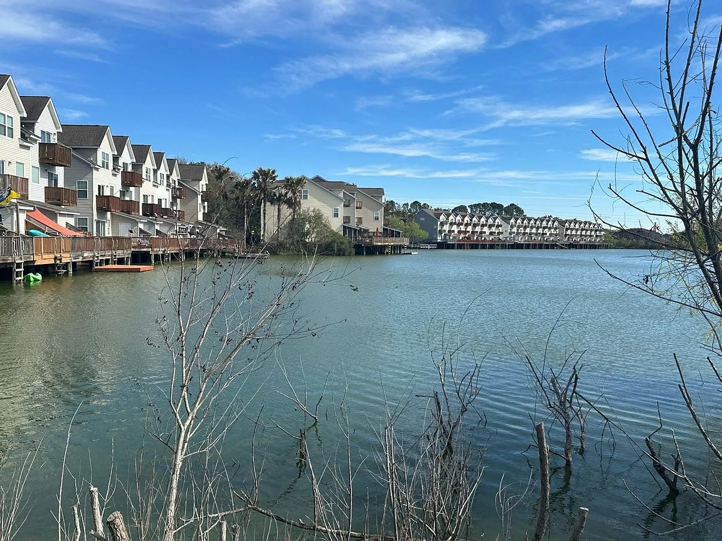 Lake Palmetto Townhome — Photo 2