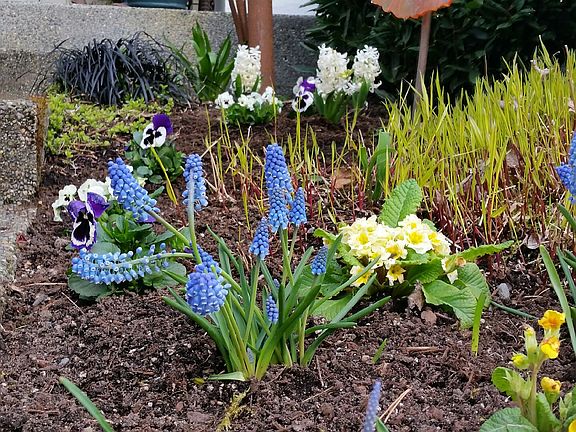 Colorful Planting Beds