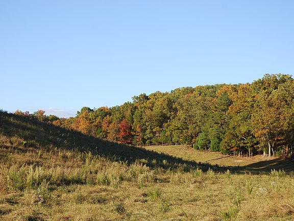 5th image of 229 County Road 296