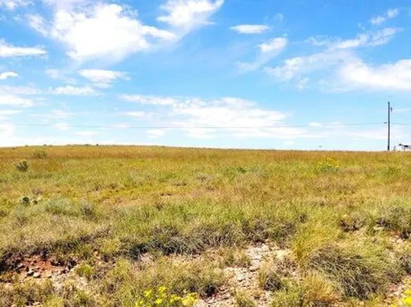 4 Lots in San Juan Meadows -- #366,365,50 & 49, St Johns, AZ 85936