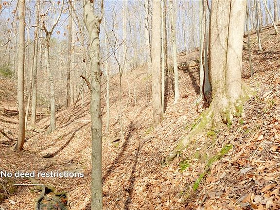 4th image of 0 Seven Island Rd Tract 2