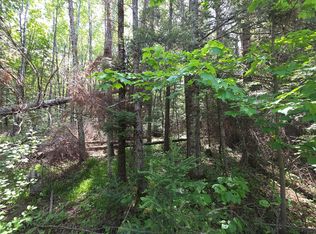 LOT 4 Solberg Lake Rd, Phillips, WI 54555