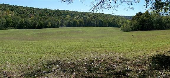 2nd image of 20470 Hale Mountain Rd #3