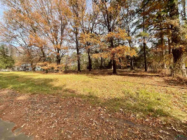459 Bass St, Avinger, TX 75630