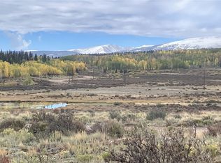 1344 Silverheels Rd, Fairplay, CO 80440