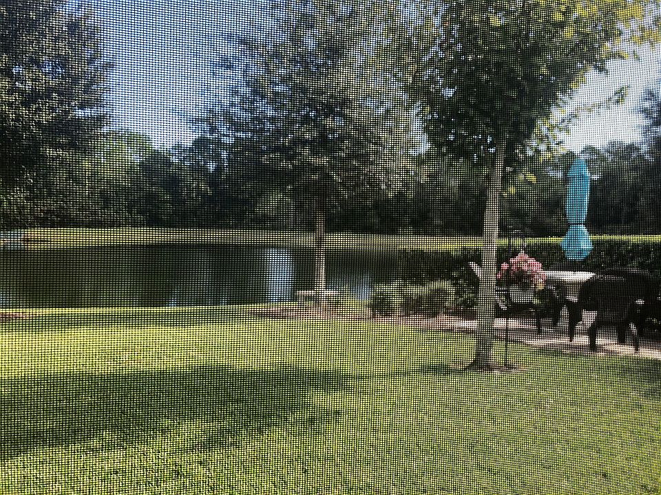 2nd image of 794 Battersea Dr