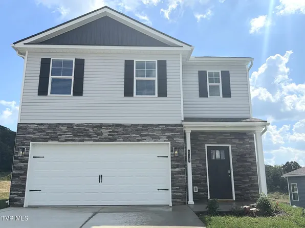 313 Chimney View Loop, Blountville, TN 37617