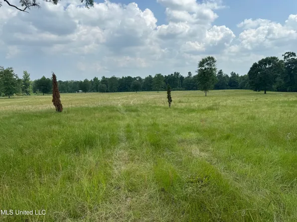 Perkinston Silver Run Rd, Perkinston, MS 39573