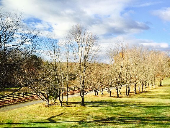 Driveway leading to Home