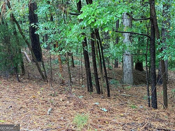 4th image of 1011 Callahans Ridge Rd